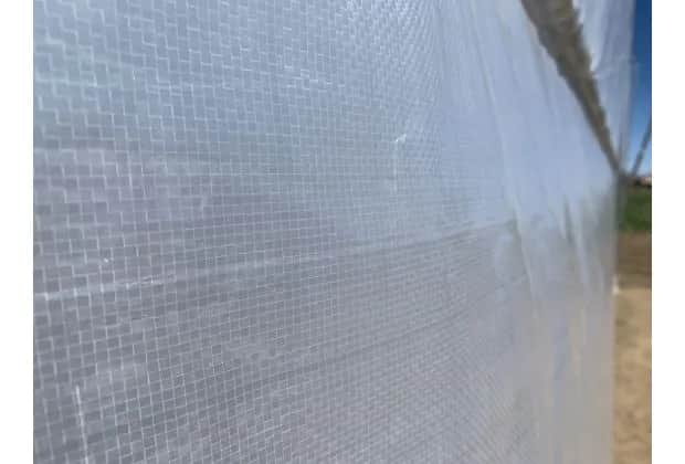 Folia na szklarnie zbrojona - wybierz najlepszą ochronę dla upraw